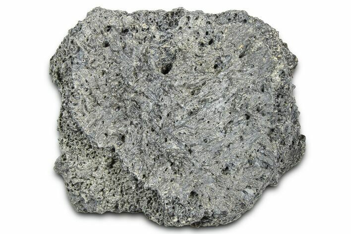 Fossil Glyptodont (Glyptotherium) Bony Armor Osteoderm - Florida #362341